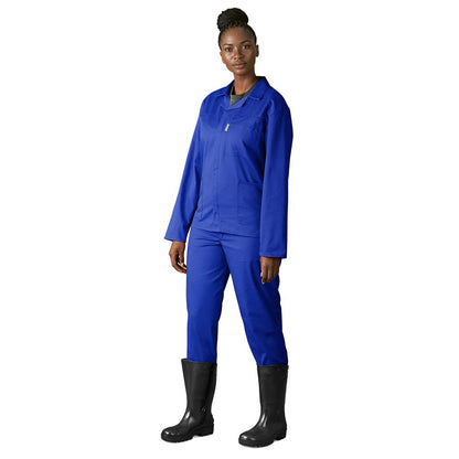Budget Conti Suit
