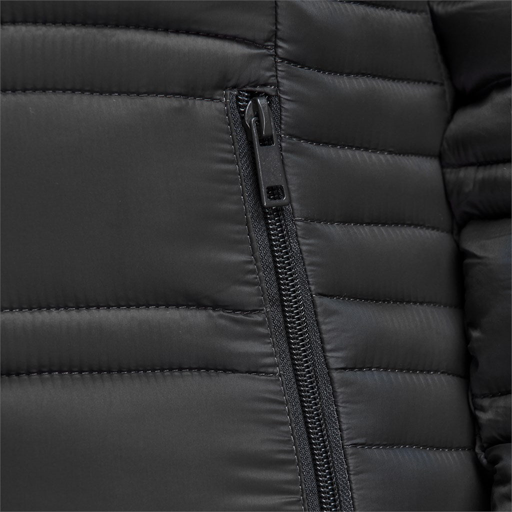 Ladies Eclipse Jacket