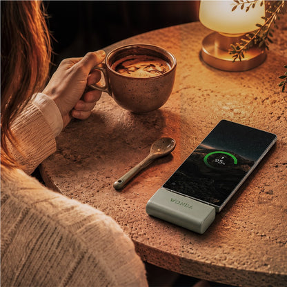 Serendipio Rutland Plug-In Power Bank- 2,200mAh