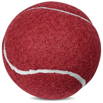 Altitude Throw Pet Ball