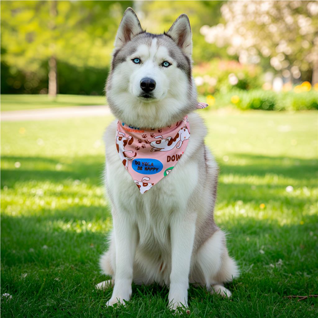 Pre-Printed Sample Hoppla Bosco Large Polyester Dog Bandana